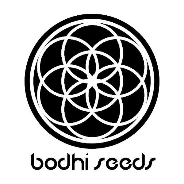 Bodhi Seeds