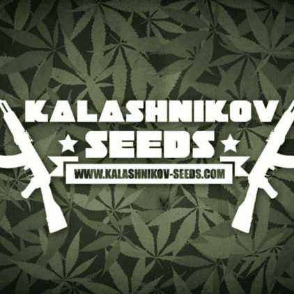 Kalashnikov Seeds