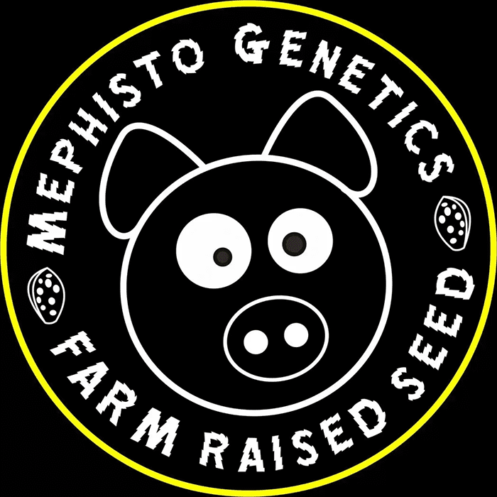 Mephisto Genetics
