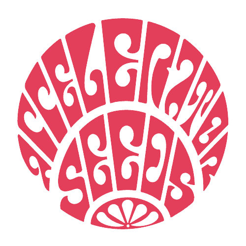 Accelerator Seeds