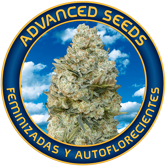 Advanced Seeds