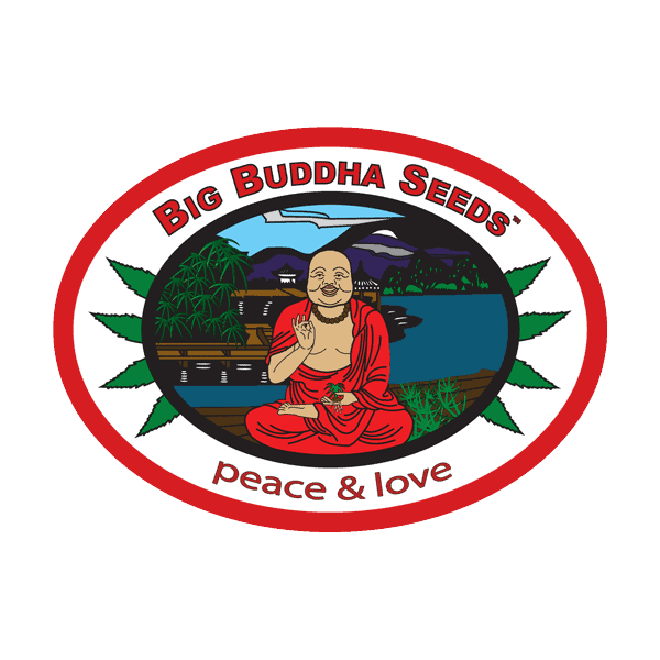 Big Buddha Seeds