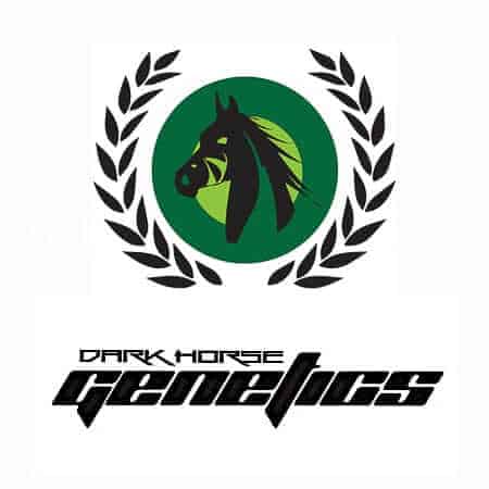 Dark Horse Genetics