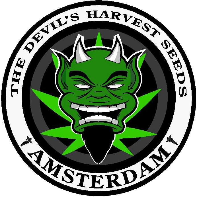 Devils Harvest Seeds