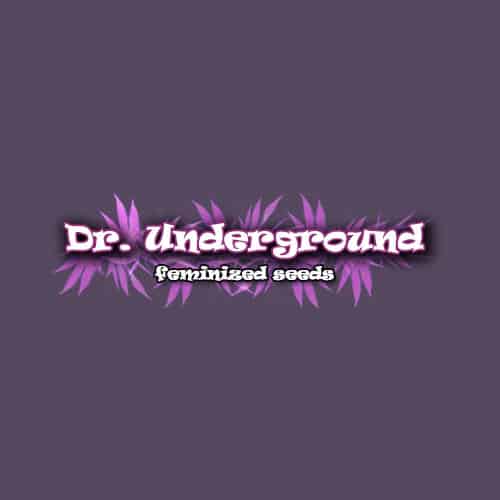 Dr Underground
