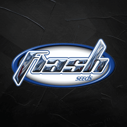 Flash Seeds