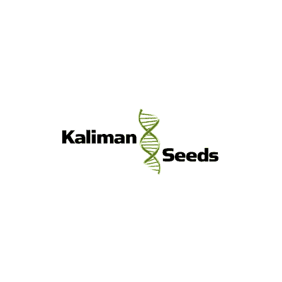 Kaliman Seeds