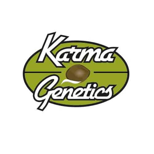 Karma Genetics