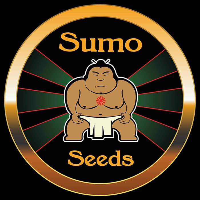 Sumo Seeds