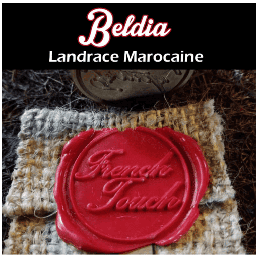 Beldia Cannabis Seeds - French Touch Seeds