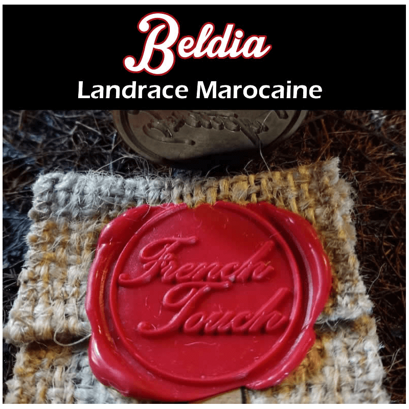 Beldia Cannabis Seeds - French Touch Seeds