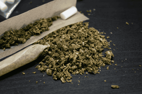 Cheese: Cannabis Strain History