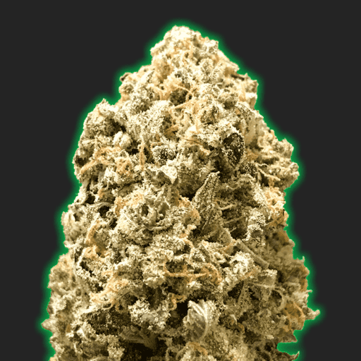 Monster Pebbles Cannabis Seeds - Monster Genetics