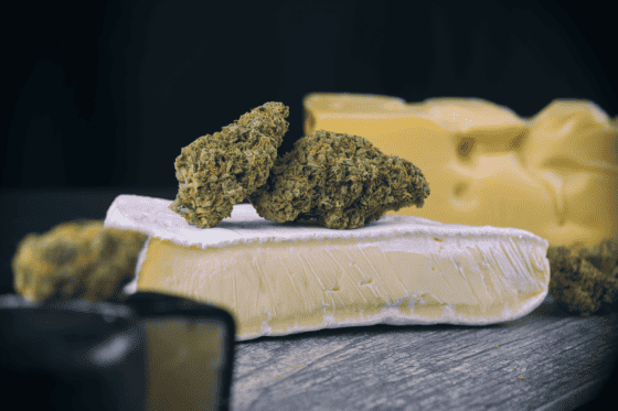 Cheese: Terpene Profile
