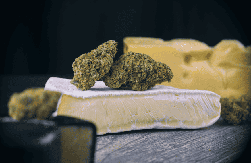 Cheese: Terpene Profile