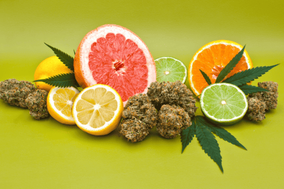 Amnesia Haze Terpene Profile