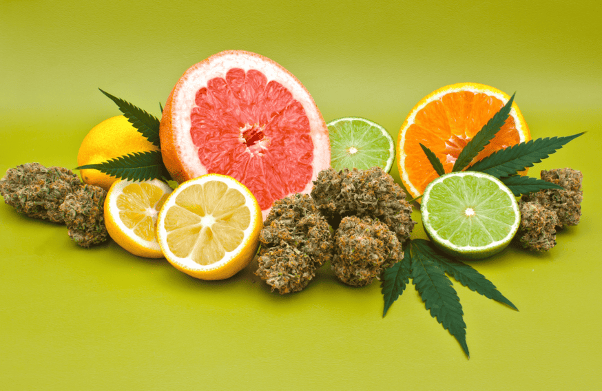 Amnesia Haze Terpene Profile