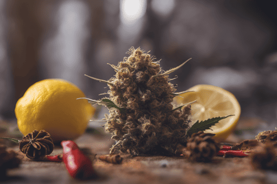 Northern Lights Terpenes Profile