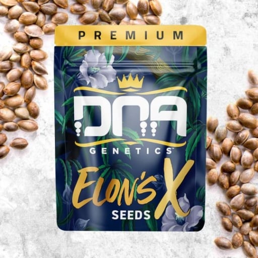 Elon's X Cannabis Seeds - DNA Genetics