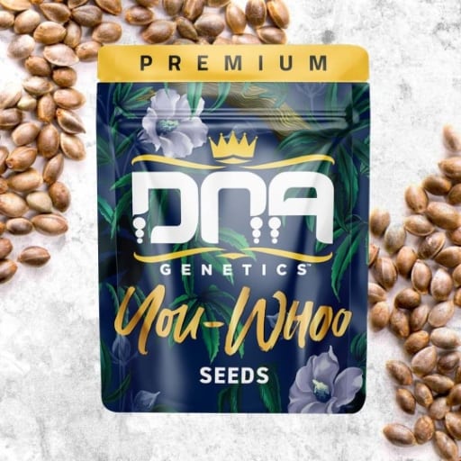 You-Whoo - DNA Genetics