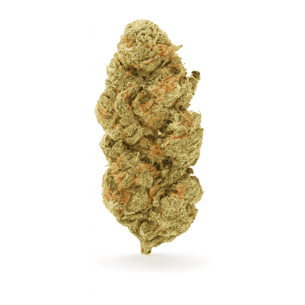 Afghan Kush cannabis strain