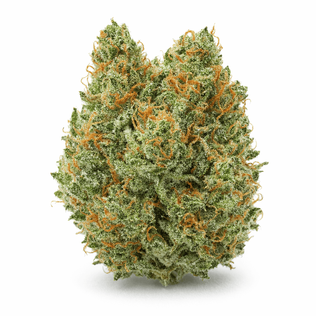 Big Bud cannabis seeds