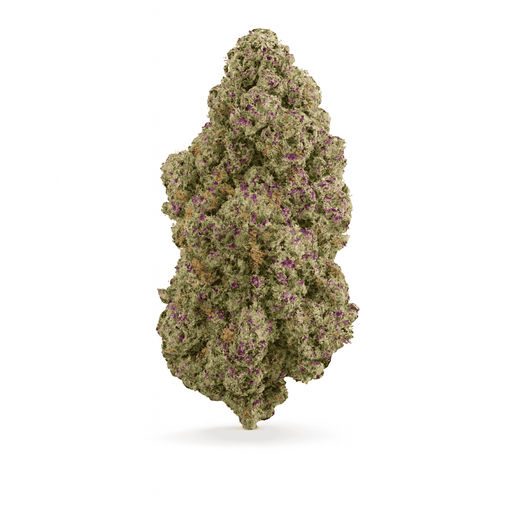 Blue Dream cannabis strain