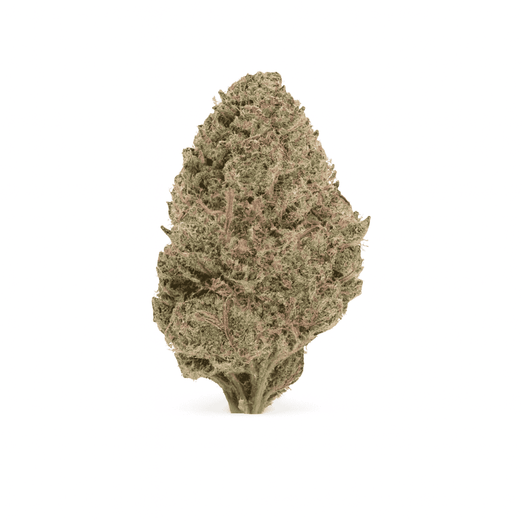 Granddaddy Purple cannabis strain