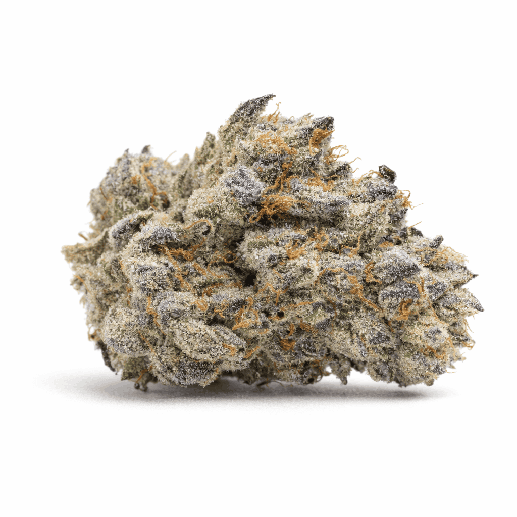 Purple Haze cannabis seeds