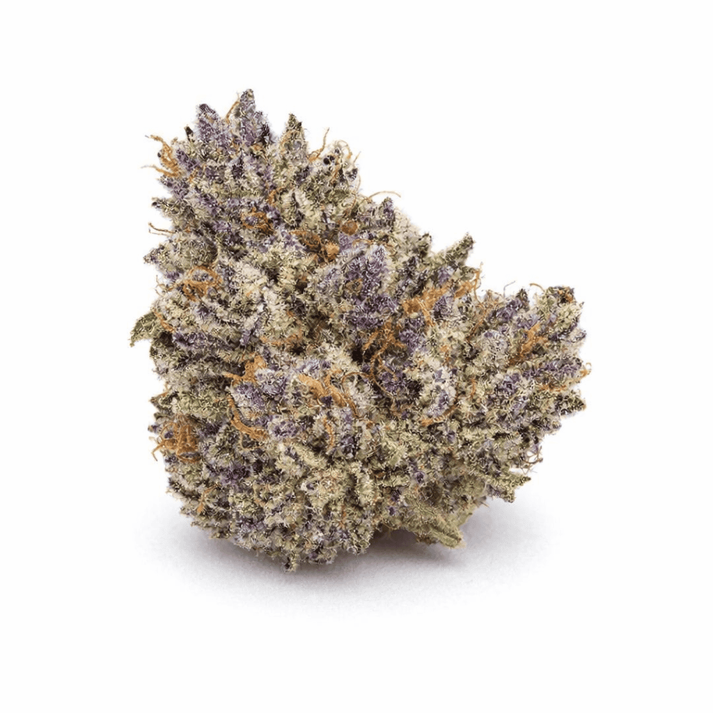 Purple Punch cannabis strain