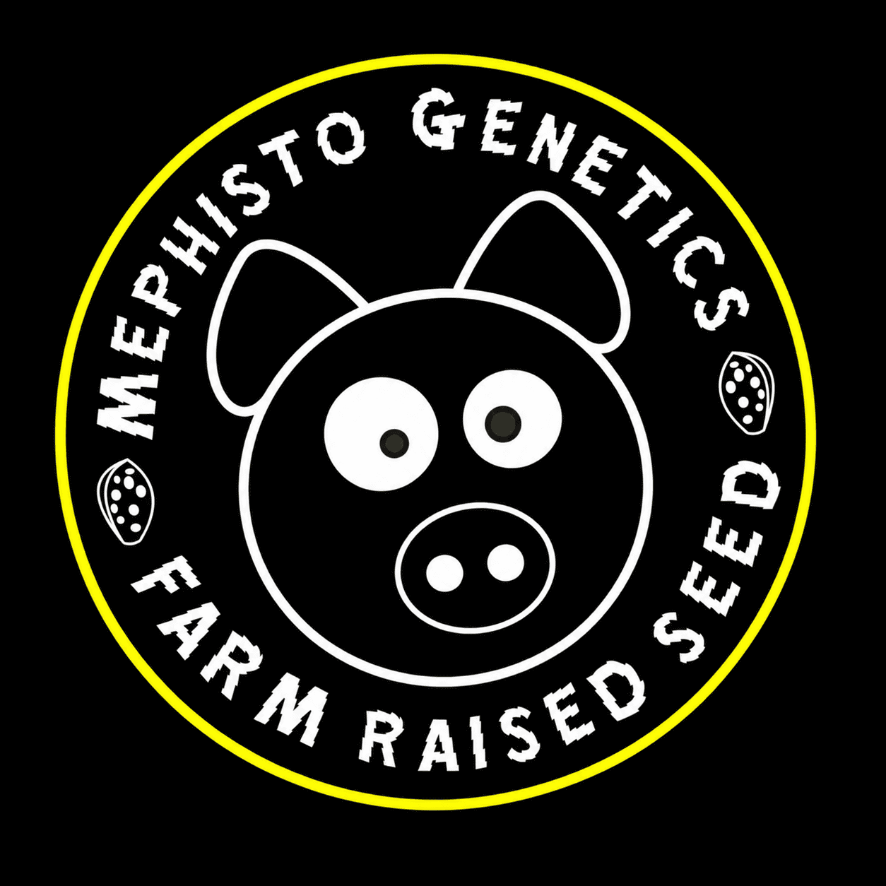 Mephisto Genetics