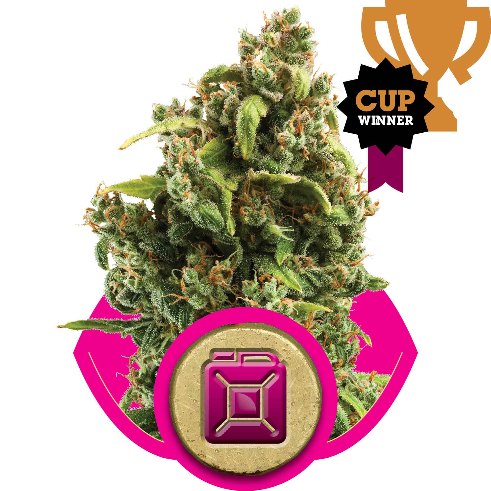Royal Queen Seeds - Sour Diesel