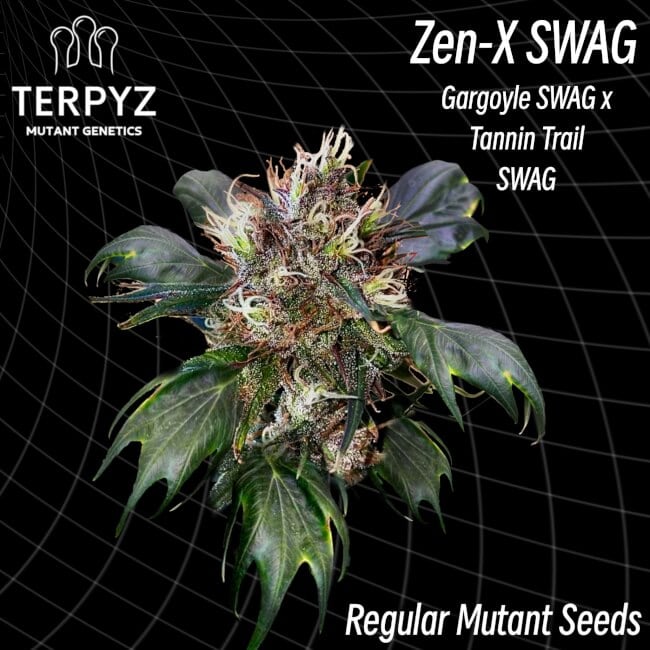 TerpyZ Mutant Genetics - Zen-X Swag