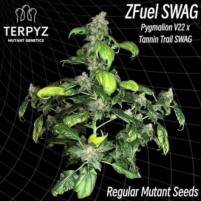 TerpyZ Mutant Genetics - Zfuel Swag